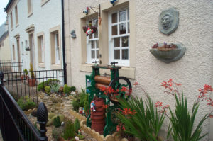 Harbourside In Bloom