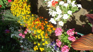 Flowers