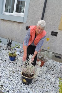 Garden of the Week winner 25 July 2016