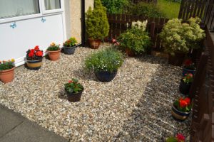 Garden of the Week