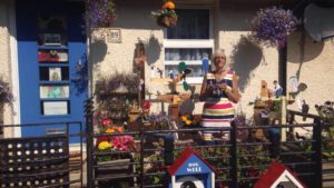 In Bloom 1st prize Winner 2016